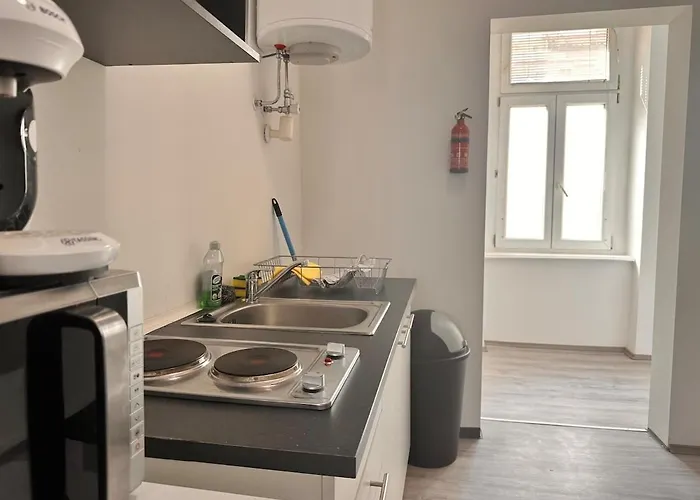 Spacious Netflix For Up To 4 People With Massage Shower * فيينا